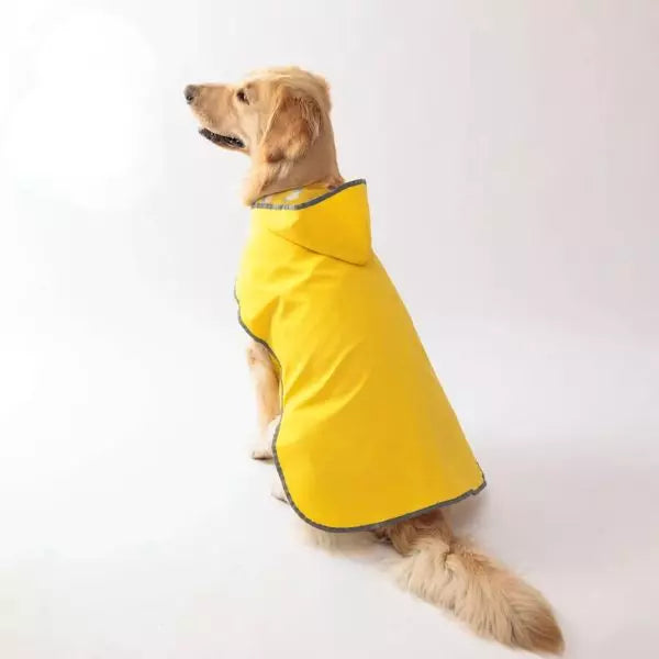 Dog Raincoat 03