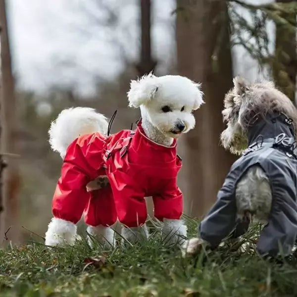 Dog Raincoat CozyGuard