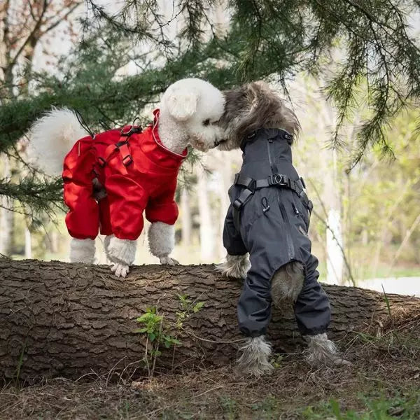 Dog Raincoat CozyGuard