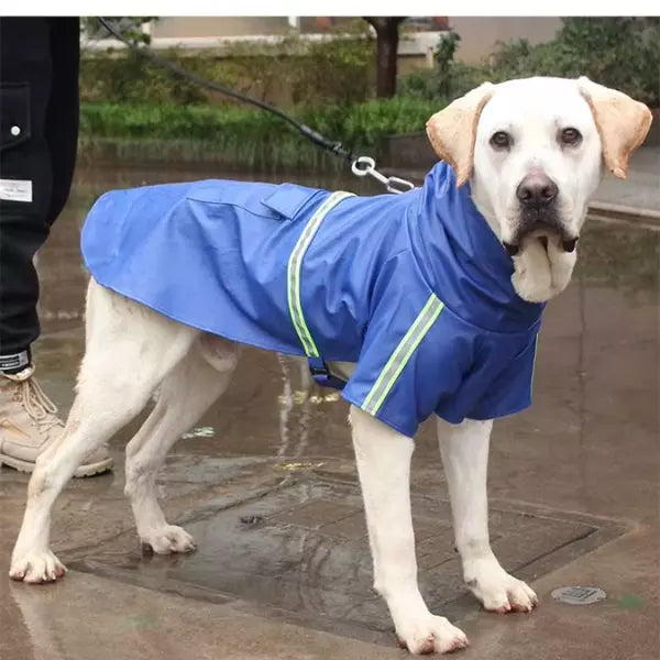 Dog Raincoat DryPaws Pawsy Home