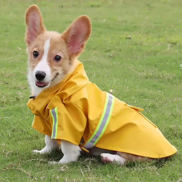 Dog Raincoat DryPaws Yellow
