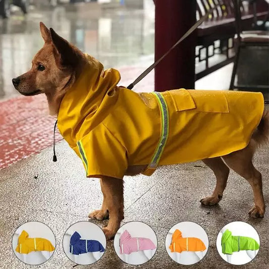 Dog Raincoat DryPaws
