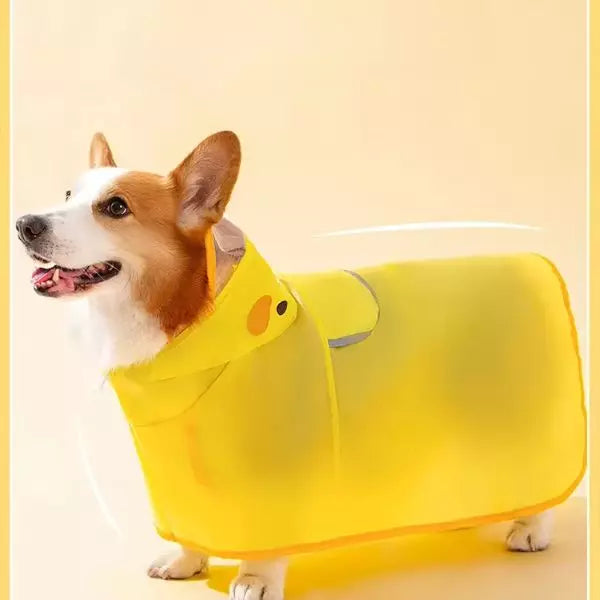 Dog Raincoat QuackShield 02