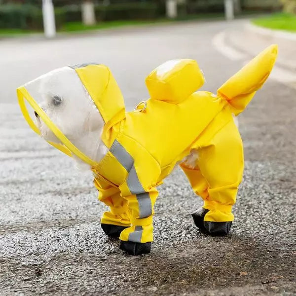 Dog Raincoat UK 03