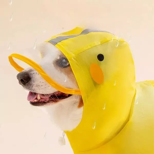 Dog Raincoat QuackShield 03