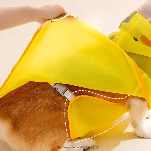 Dog Raincoat 04