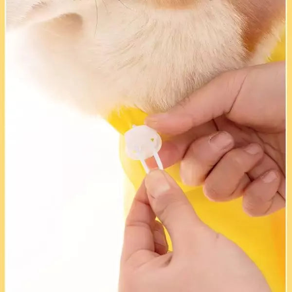 Dog Raincoat UK 02
