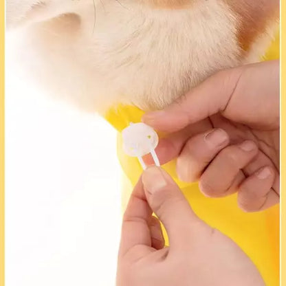 Dog Raincoat UK 02