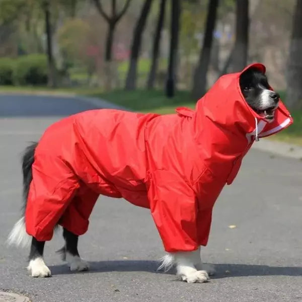 Dog Raincoat RainPoncho