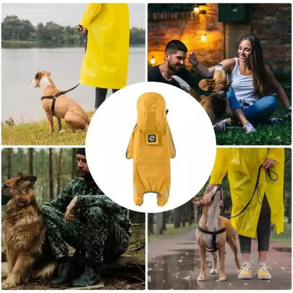 Dog Raincoat