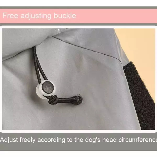 Dog Raincoat SafeWalk 05