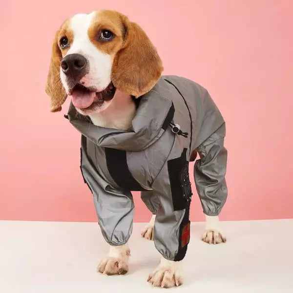 Dog Raincoat SafeWalk 02