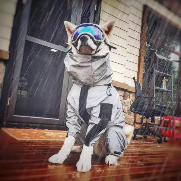 Dog Raincoat  03