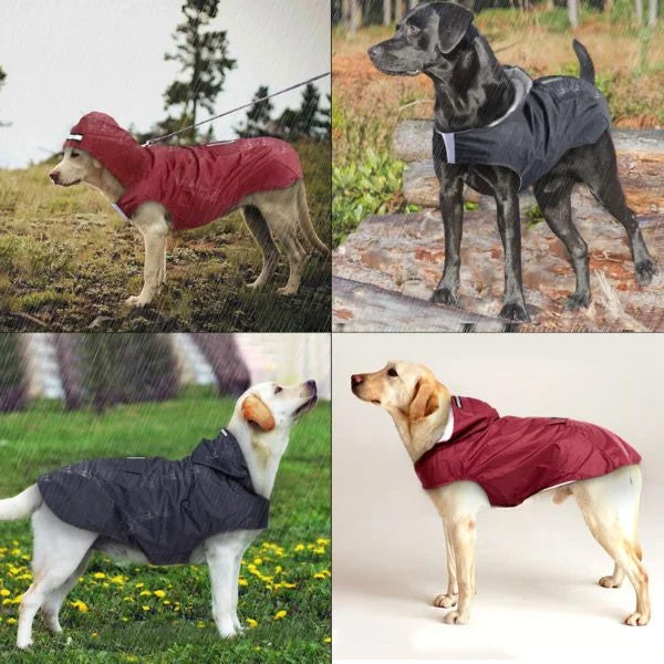 Dog Raincoat UK