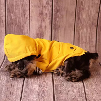 Dog Raincoat StormGuard 03