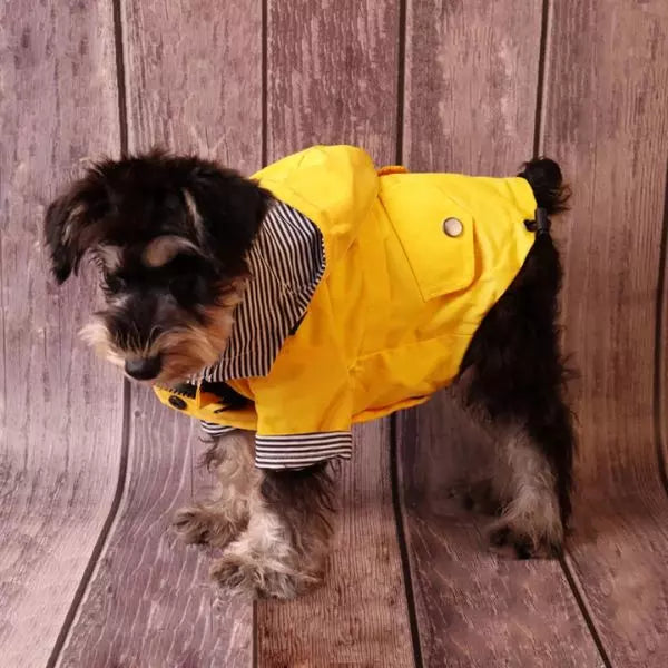 Dog Raincoat 
