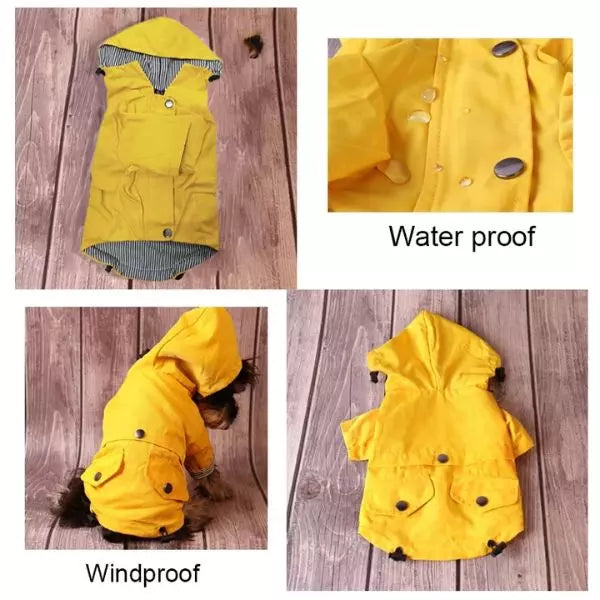 Dog Raincoat 02