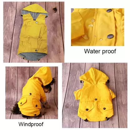 Dog Raincoat 02