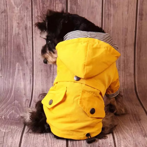 Dog Raincoat 03