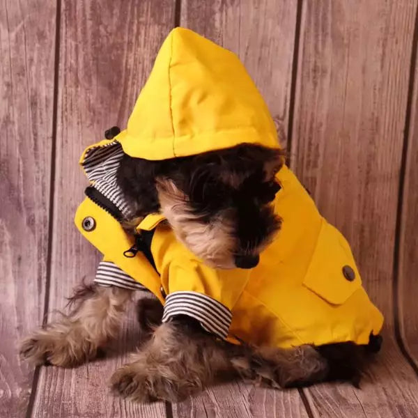 Dog Raincoat StormGuard 02