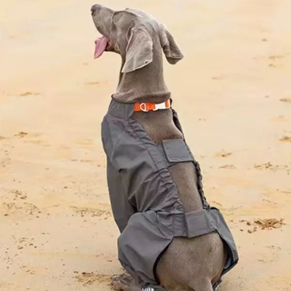 Dog Raincoat UK
