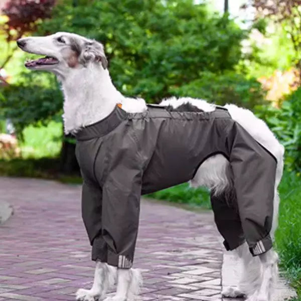 Dog Raincoat Gray