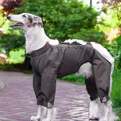 Dog Raincoat Gray