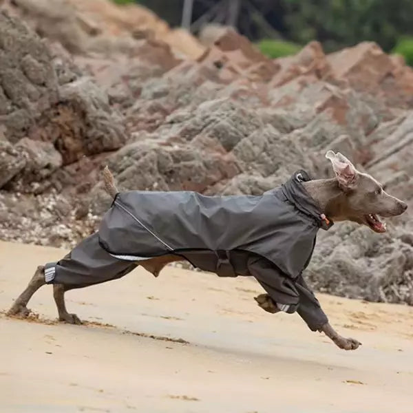 Dog Raincoat 