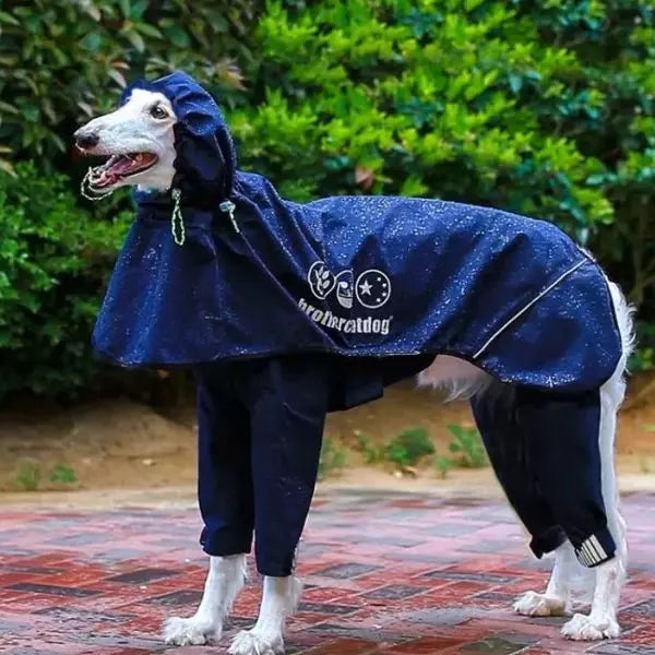 Dog Raincoat StormPaw