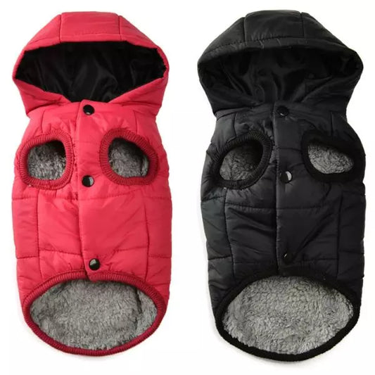 Dog Raincoat WinterPaws