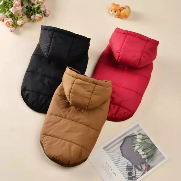 Dog Raincoat UK