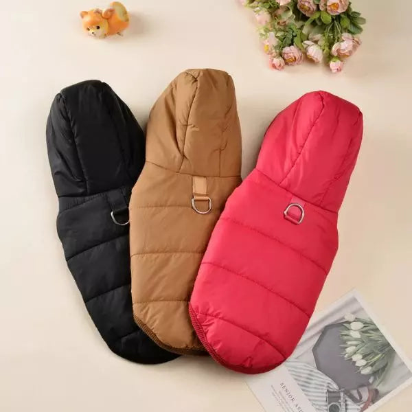 Dog Raincoat UK 02