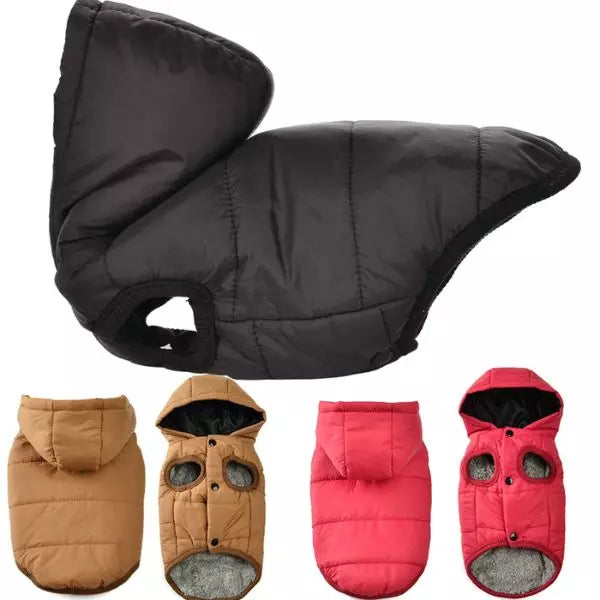 Dog Raincoat WinterPaws 03