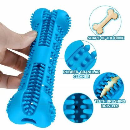 Canine Dental Care