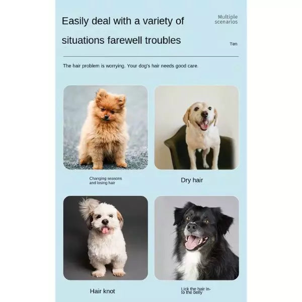 Flea Comb QuadraCare Pawsy Home