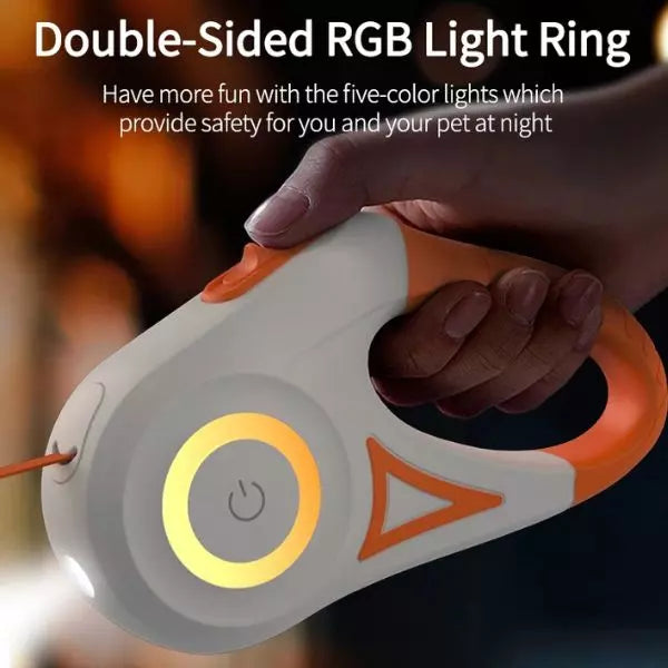 LED Dog Collar Pawsy Home