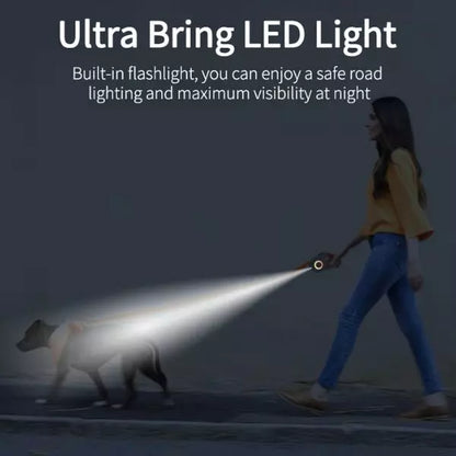 LED Dog Collar BeamFlex UK