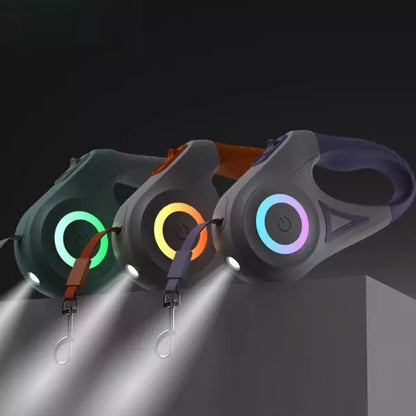 LED Dog Collar BeamFlex Pawsy Home