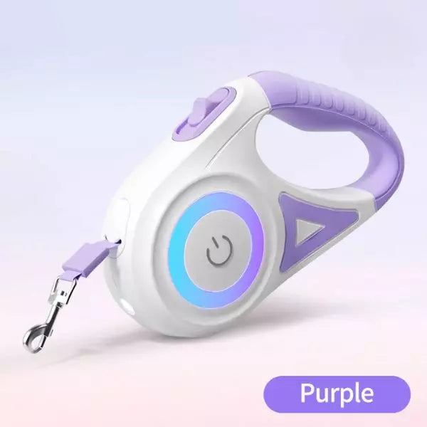 LED Dog Collar Purple