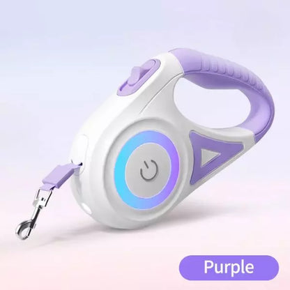 LED Dog Collar Purple