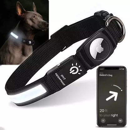 LED Dog Collar BrightGuard