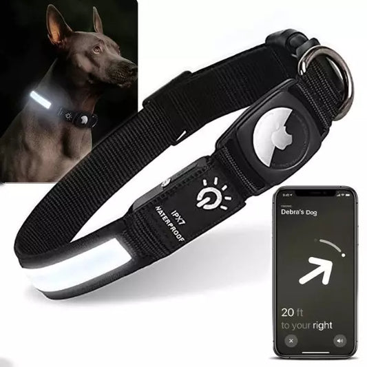 LED Dog Collar BrightGuard