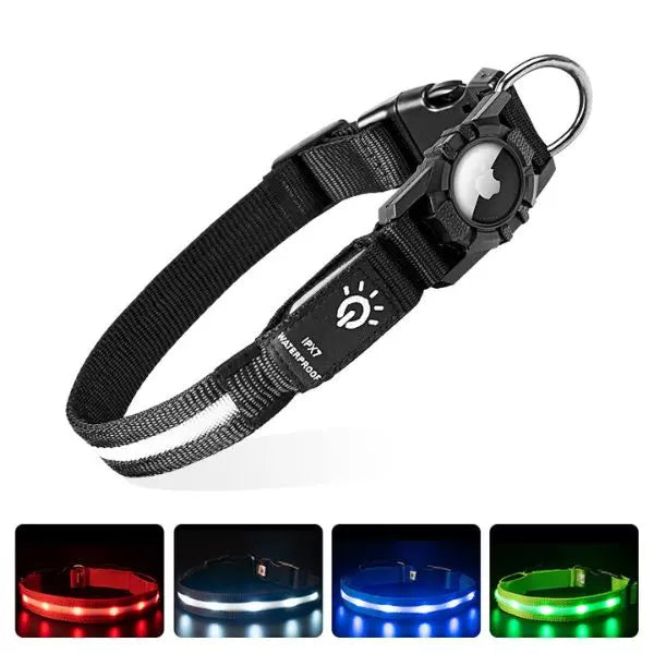 LED Dog Collar UK