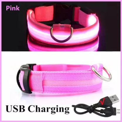 LED Dog Collar Pink
