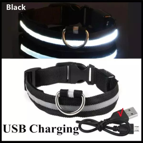 LED Dog Collar Black