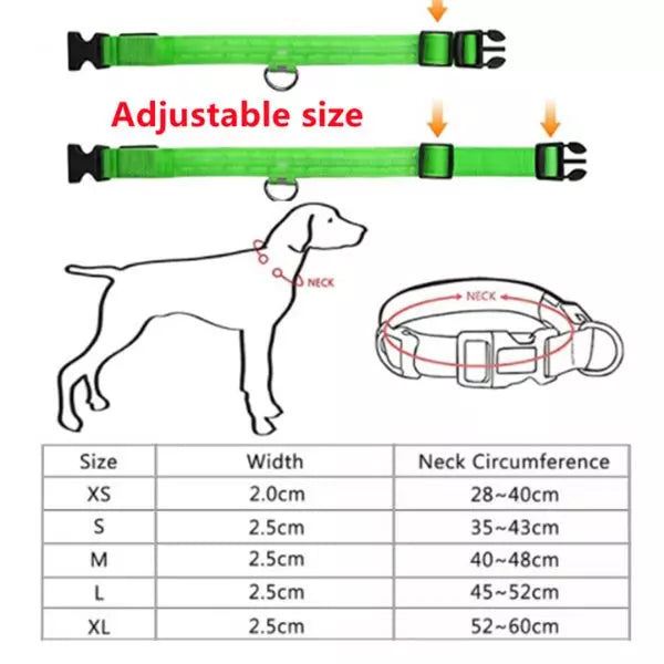 LED Dog Collar Size