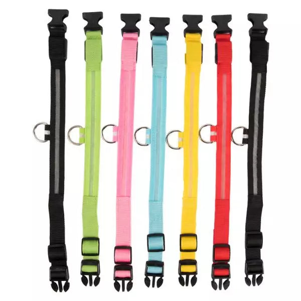 LED Dog Collar GlowGuard Pawsy Home