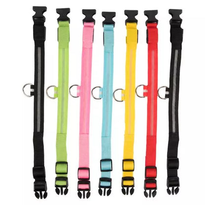 LED Dog Collar GlowGuard Pawsy Home