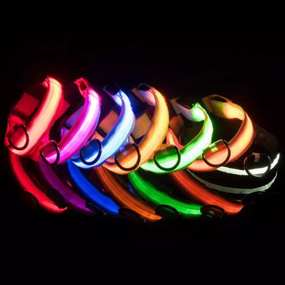 LED Dog Collar GlowGuard UK