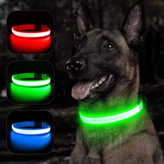 LED Dog Collar GlowGuard